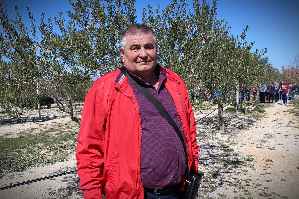 Man wearing a red jacket and purple shirt standing in an olive grove with trees in the background. - Olive Oil Times