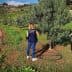 Two individuals observing an olive tree with an irrigation system in an agricultural field. - Olive Oil Times