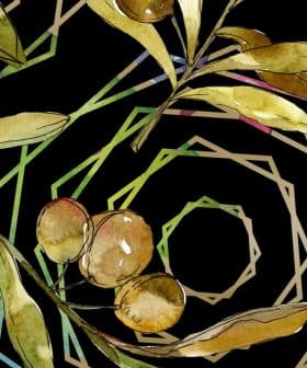 Watercolor illustration of olive branches and olives on a dark background with geometric shapes. - Olive Oil Times