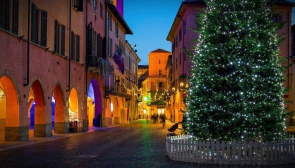 A large Christmas tree adorned with lights in a historic street at dusk. - Olive Oil Times