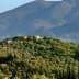 Olive trees covering a hillside with a small house and mountains in the background. - Olive Oil Times