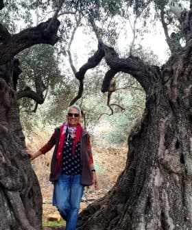 Individual standing between two large, gnarled olive trees in a natural setting. - Olive Oil Times
