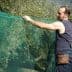 Man adjusting a green net used for collecting olives during the harvest season. - Olive Oil Times