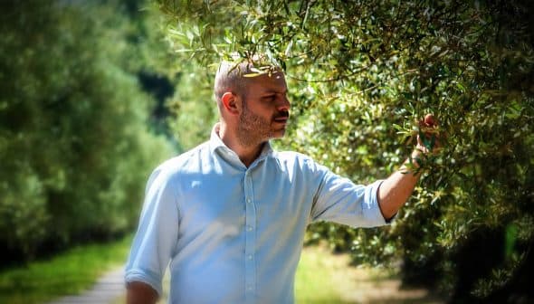 Man in a light shirt examining an olive tree branch in a natural setting. - Olive Oil Times