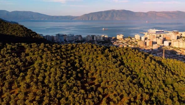 Aerial view of a coastal city with buildings and hills covered in greenery. - Olive Oil Times