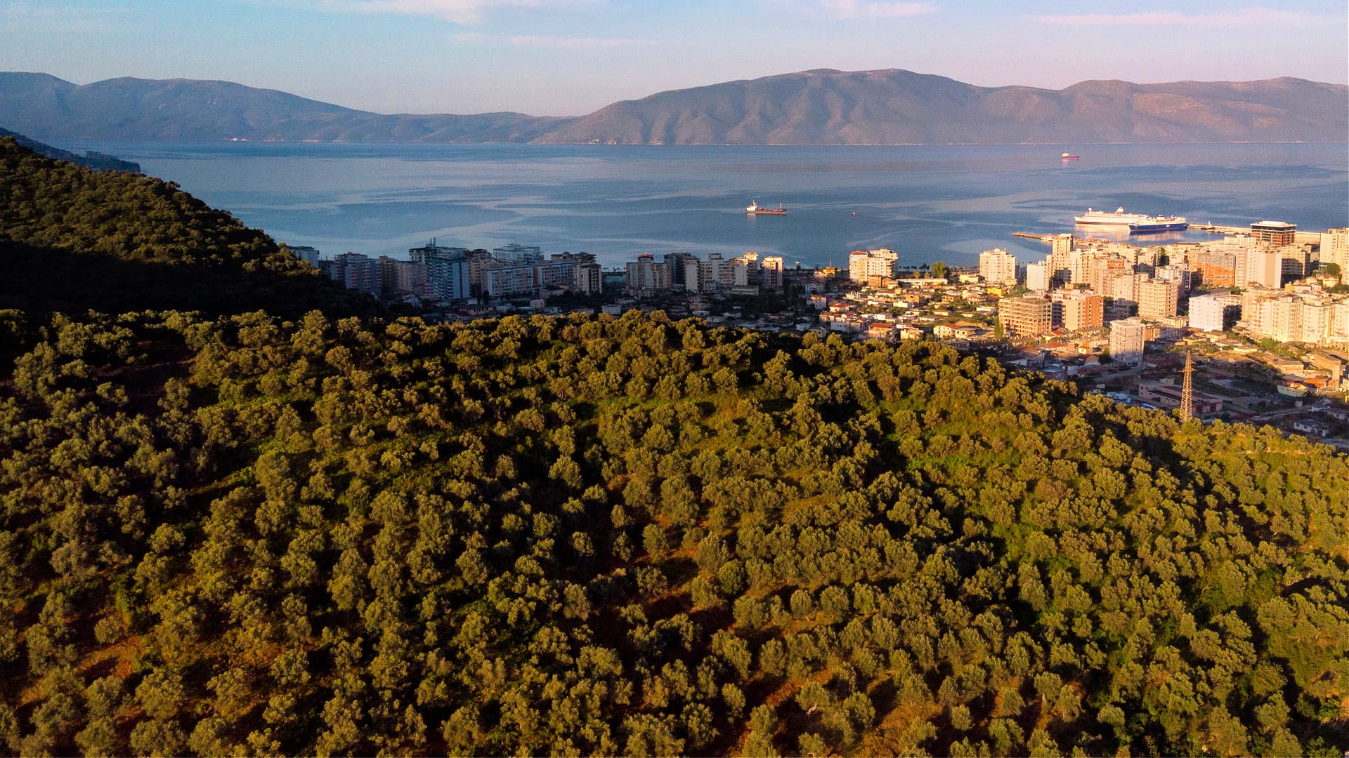 Aerial view of a coastal city with buildings and hills covered in greenery. - Olive Oil Times