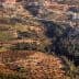 Aerial view of a diverse agricultural landscape featuring fields and trees in a rural area. - Olive Oil Times