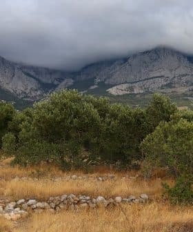 Mountain landscape featuring trees in the foreground and clouds covering the peaks in the background. - Olive Oil Times