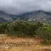 Mountain landscape featuring trees in the foreground and clouds covering the peaks in the background. - Olive Oil Times