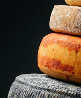 A stack of different types of cheese, including a yellow-orange cheese and a dark cheese, against a dark background. - Olive Oil Times