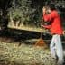A man in a red shirt raking olives from the ground in an olive grove. - Olive Oil Times