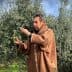Man in a brown cloak harvesting olives from a tree in an olive grove. - Olive Oil Times