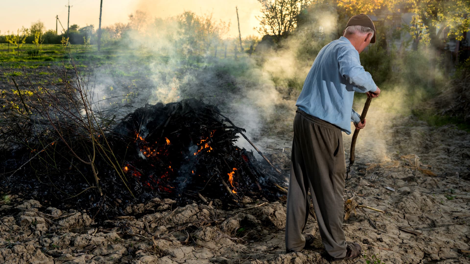 Individual tending to a burning pile of brush in an outdoor setting with smoke rising. - Olive Oil Times