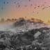 A landfill site with a large mound of waste and birds flying in the sky at sunset. - Olive Oil Times