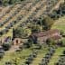 Aerial view of a farmhouse surrounded by olive trees in a rural landscape. - Olive Oil Times