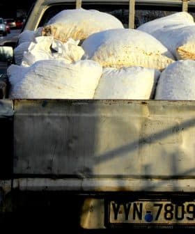 Pickup truck with a bed full of white bags on a street. - Olive Oil Times