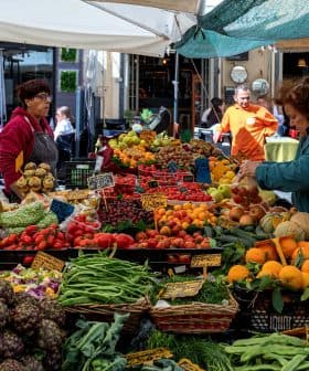 A market stall filled with various fresh fruits and vegetables, including tomatoes, oranges, and leafy greens. - Olive Oil Times