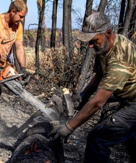 Two men using chainsaws to cut a fallen tree in a burned area after a wildfire. - Olive Oil Times