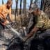 Two men using chainsaws to cut a fallen tree in a burned area after a wildfire. - Olive Oil Times
