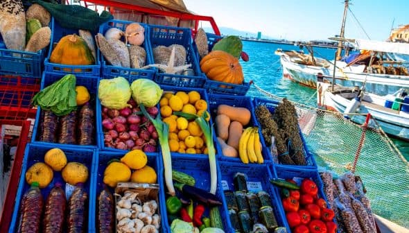 Assorted fresh fruits and vegetables displayed in blue crates at a market by the water. - Olive Oil Times
