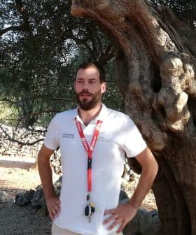 A man wearing a white shirt and lanyard standing beside a large olive tree. - Olive Oil Times