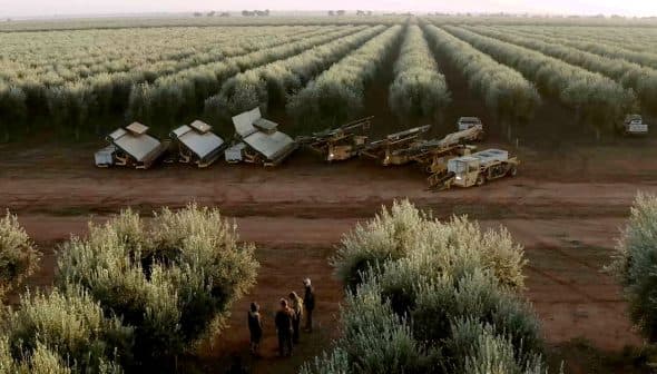 Multiple olive harvesting machines lined up in an olive grove with trees in rows. - Olive Oil Times