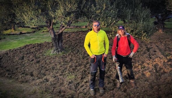 Two individuals standing in an olive grove with trees in the background and freshly tilled soil. - Olive Oil Times