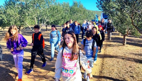 A group of children walking through an olive grove, wearing backpacks and casual clothing. - Olive Oil Times