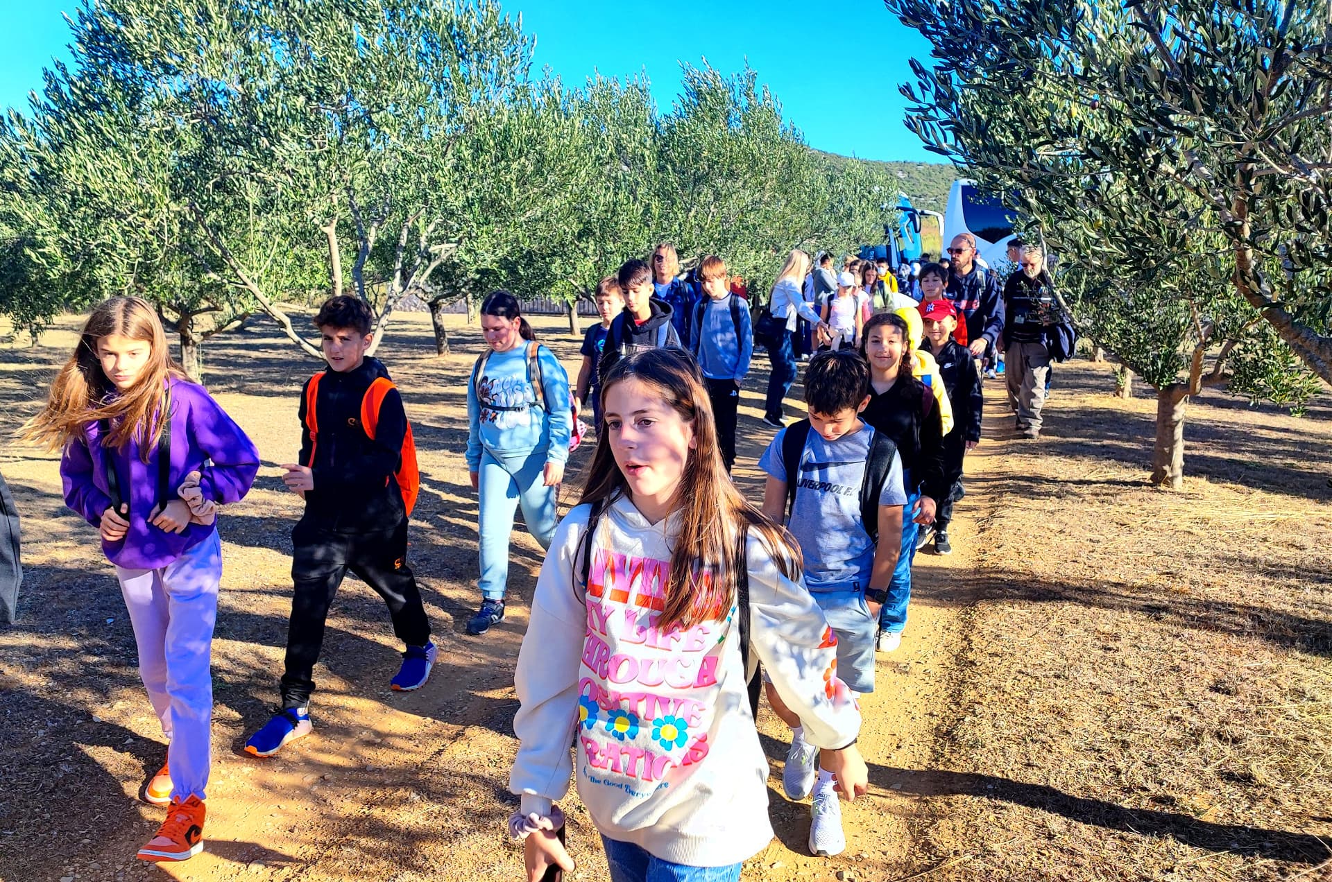 A group of children walking through an olive grove, wearing backpacks and casual clothing. - Olive Oil Times