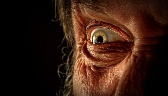 Close-up view of an elderly person's eye showing detailed textures and colors. - Olive Oil Times
