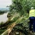 Individual wearing a yellow safety vest pruning an olive tree on a hillside overlooking a river. - Olive Oil Times