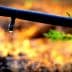 Close-up of a drip irrigation tube with a single water droplet forming at the end. - Olive Oil Times