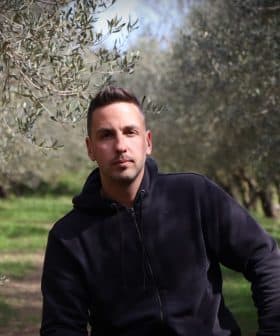 A man wearing a black hoodie sitting among olive trees in an olive grove. - Olive Oil Times