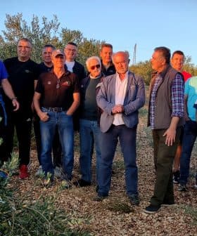 A group of men standing together in an olive grove during daylight. - Olive Oil Times