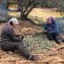 Two women sorting olives on a large cloth in an olive grove during harvest season. - Olive Oil Times