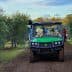 Utility vehicle used for olive harvesting in an olive grove with workers gathering olives. - Olive Oil Times