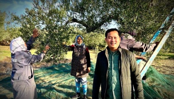Individuals participating in olive harvesting under an olive tree in an orchard. - Olive Oil Times