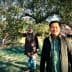 Individuals participating in olive harvesting under an olive tree in an orchard. - Olive Oil Times