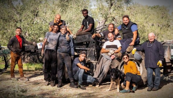 A group of twelve individuals posing together near an olive harvesting machine in an olive grove. - Olive Oil Times