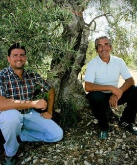 Two men sitting beside an olive tree in an olive grove, both smiling at the camera. - Olive Oil Times
