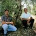 Two men sitting beside an olive tree in an olive grove, both smiling at the camera. - Olive Oil Times
