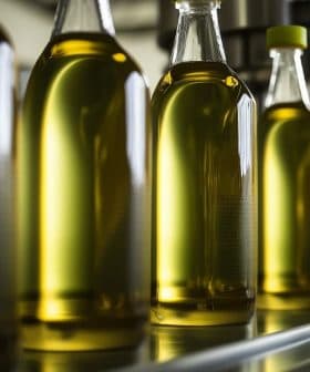Row of glass bottles filled with olive oil on a production line in a factory setting. - Olive Oil Times