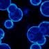 Abstract image of blue cells with glowing edges on a black background. - Olive Oil Times
