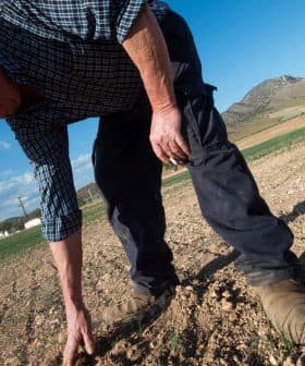 A farmer in a plaid shirt and hat kneeling down to inspect the soil in a field. - Olive Oil Times