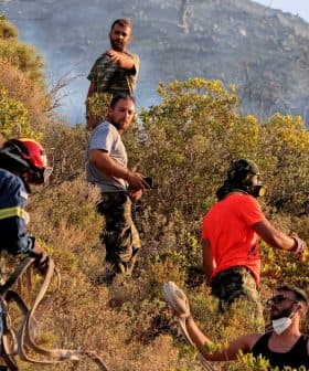 Firefighters and volunteers working together to manage a wildfire in a hilly area with vegetation. - Olive Oil Times