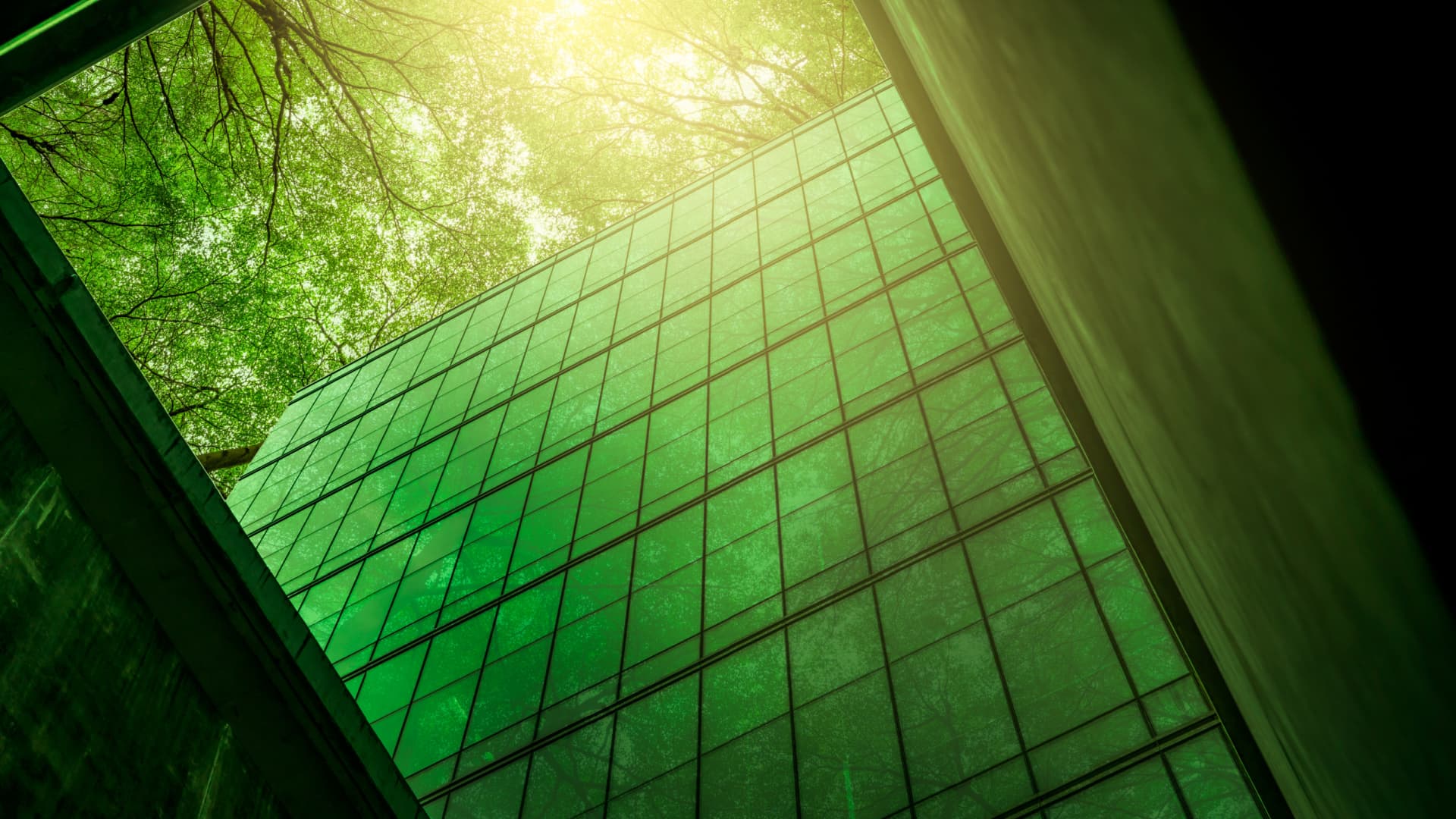 A modern glass building reflecting green light from surrounding trees in an urban setting. - Olive Oil Times