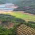 Aerial view of olive groves and a reservoir surrounded by hills and greenery. - Olive Oil Times