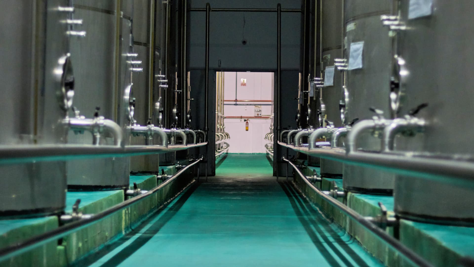 Interior view of a processing facility with stainless steel oil storage tanks and pipes. - Olive Oil Times