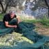 Man gathering olives from a net in an olive grove surrounded by trees. - Olive Oil Times