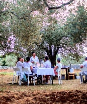 Group of people dining at tables set under olive trees in an outdoor setting. - Olive Oil Times